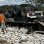 Motorista perde controle de carreta após ataque de abelhas e veículo tomba na Bahia