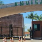 Anvisa suspende marcas de glitters decorativos usados em bolos e doces