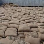 Da costa ao mau fim — um alerta urgente