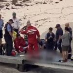 Pescador morre após ataque de tubarão-branco durante pesca submarina