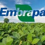 Embrapa anuncia nova unidade em Jequié; investimento será de R$ 18 milhões