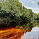 Consulta pública para unidade de conservação na Chapada Diamantina é aberta após ataques a ambientalistas