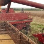 Cooperativas respondem por 10,3% das exportações do agronegócio brasileiro, diz entidade